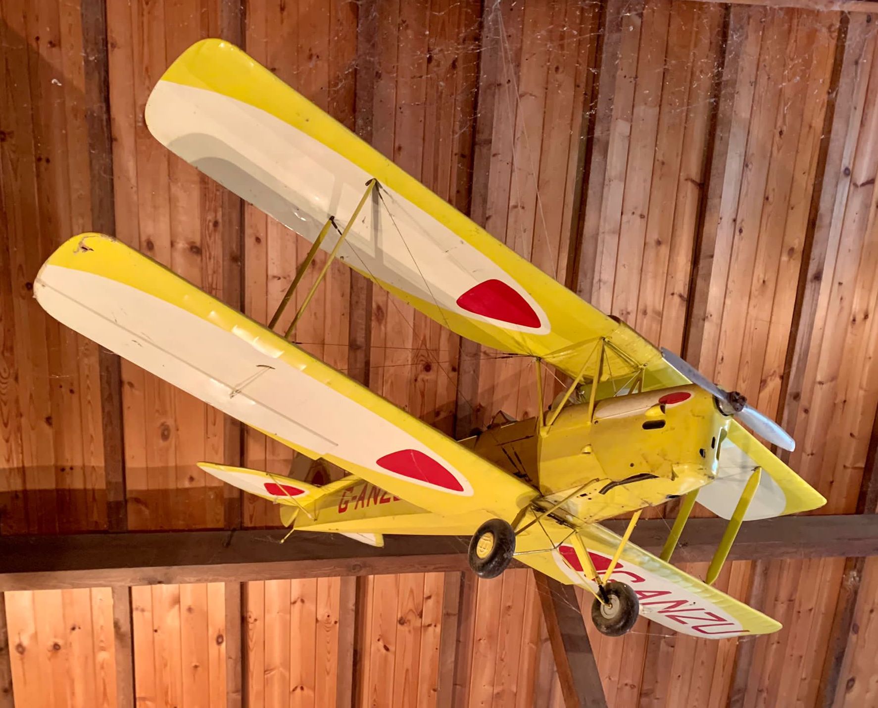 A De Havilland Tiger Moth Reg:- G-ANZU model aeroplane, width 183cm, length 150cm *Please note the sale commences at 9am.